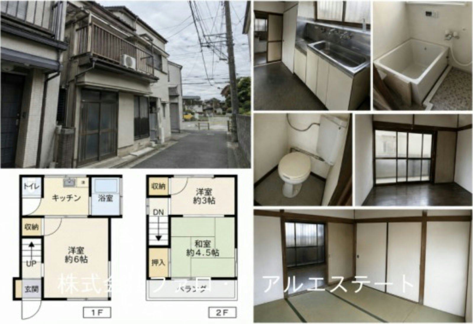 写真2枚目
