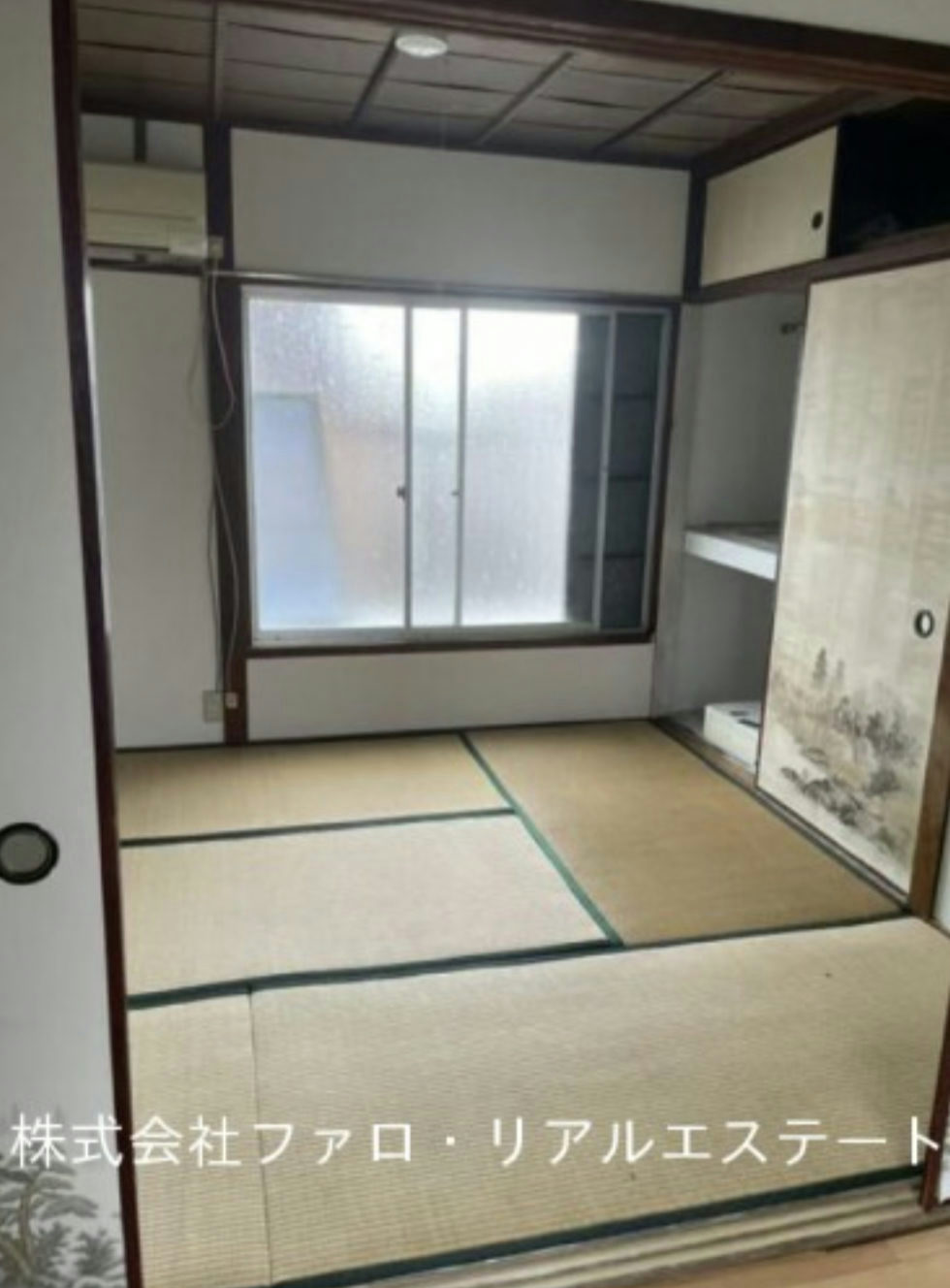 写真3枚目